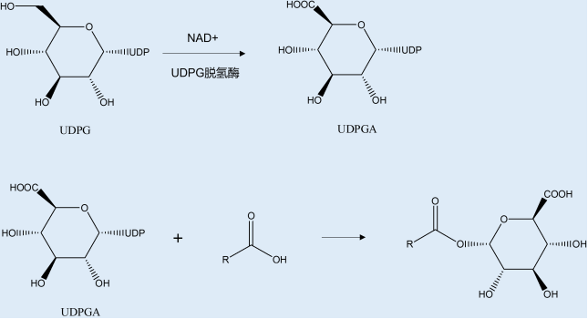1667538480208021.png 图片.png