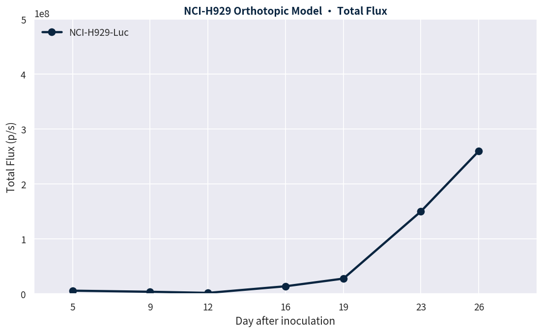 爱思益普 NCI-H929-Luc 原位模型肿瘤生长数据