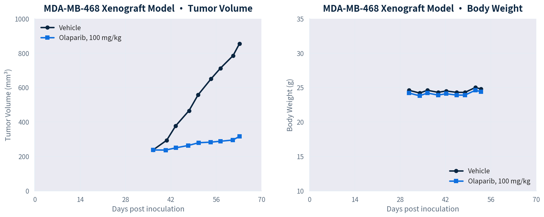 MDA-MB-468 三阴性乳腺癌移植瘤模型奥拉帕利药效数据（爱思益普）