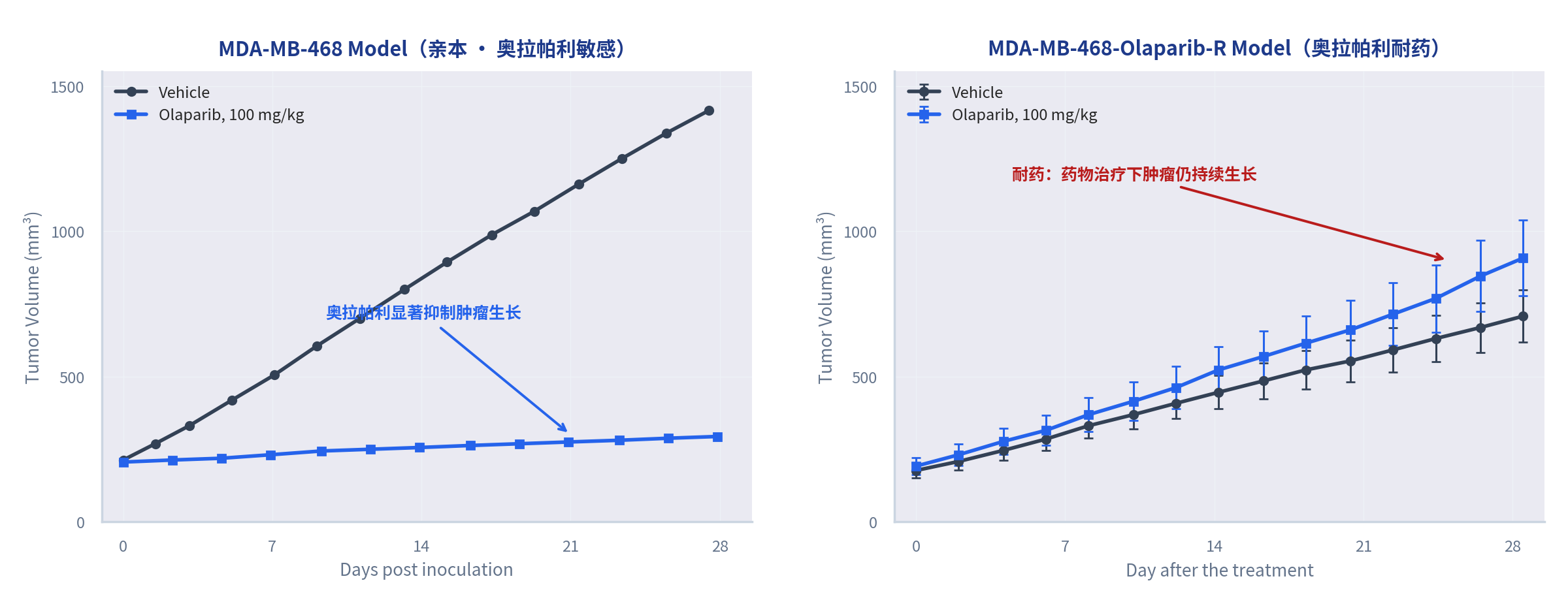 爱思益普耐受奥拉帕利乳腺癌模型：MDA-MB-468亲本（敏感）与MDA-MB-468-Olaparib-R（耐药）模型的肿瘤生长曲线对比