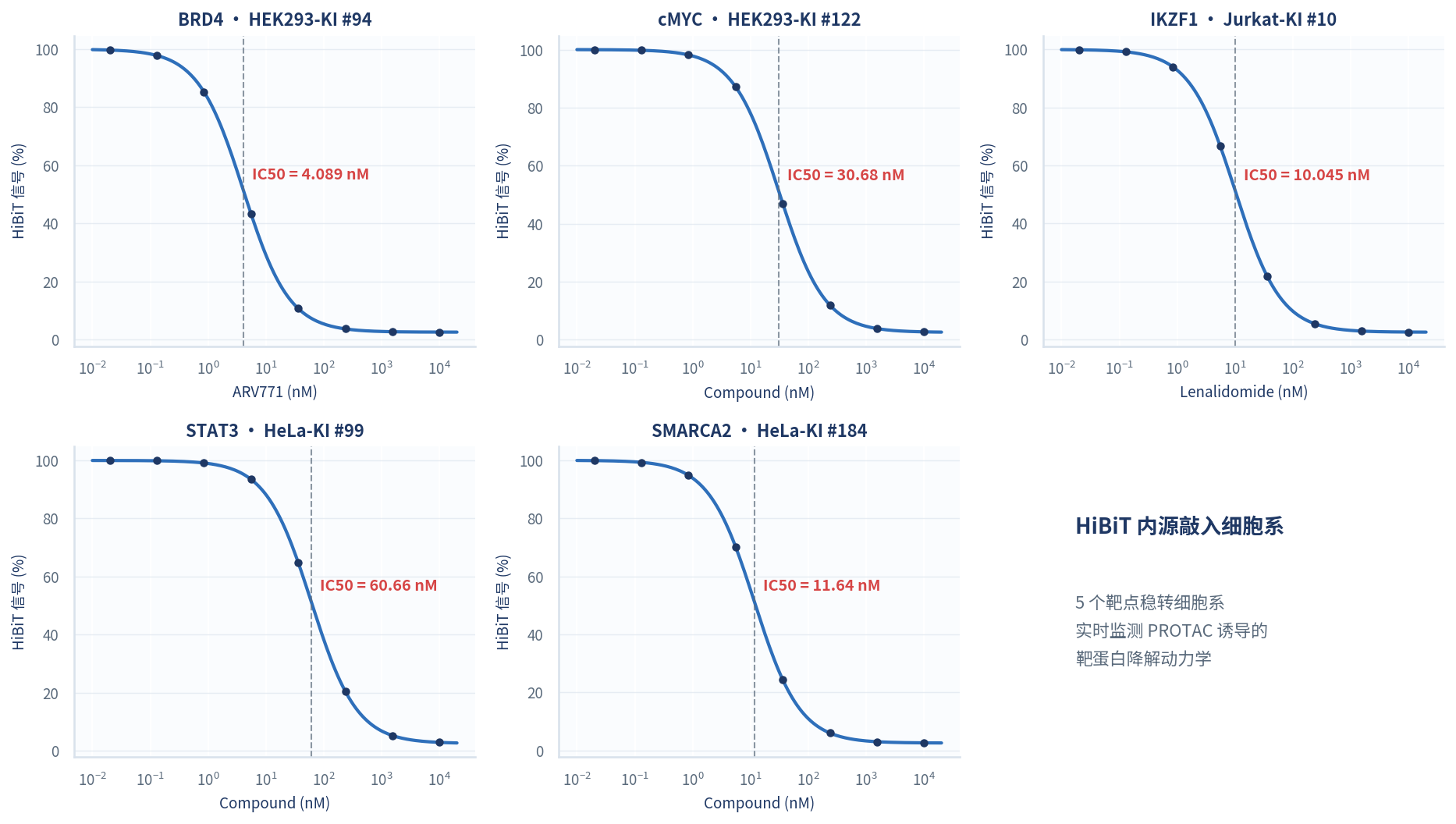 爱思益普HiBiT细胞系检测BRD4 cMYC IKZF1 STAT3 SMARCA2降解数据