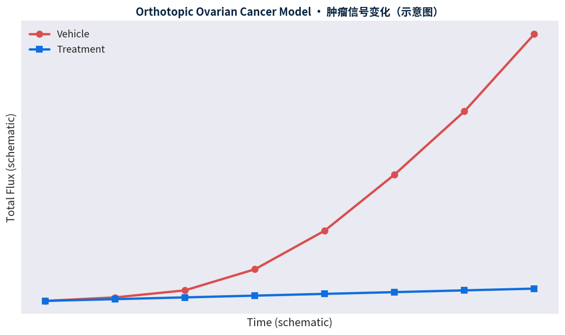 卵巢癌原位模型药效示意