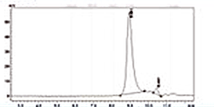 KRAS G12D 重组蛋白 SEC-HPLC 纯度色谱图