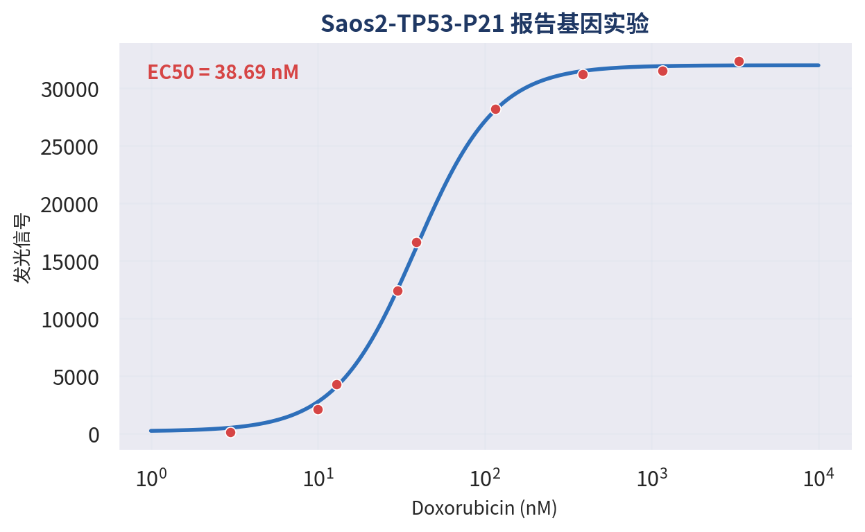 Saos2-TP53-P21 报告基因实验 Doxorubicin EC50=38.69 nM