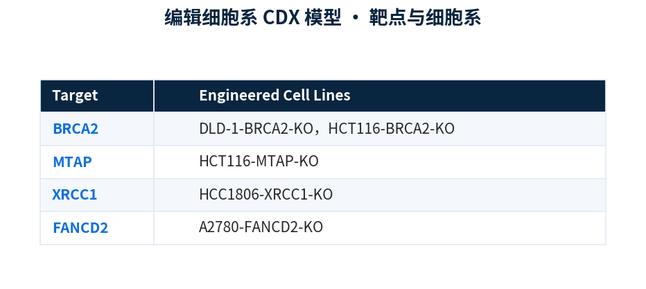 编辑细胞系CDX模型