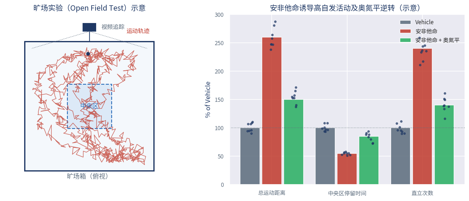 旷场实验示意（左：旷场箱俯视与视频追踪轨迹）及安非他命诱导高自发活动、奥氮平逆转的三指标柱状图（右）