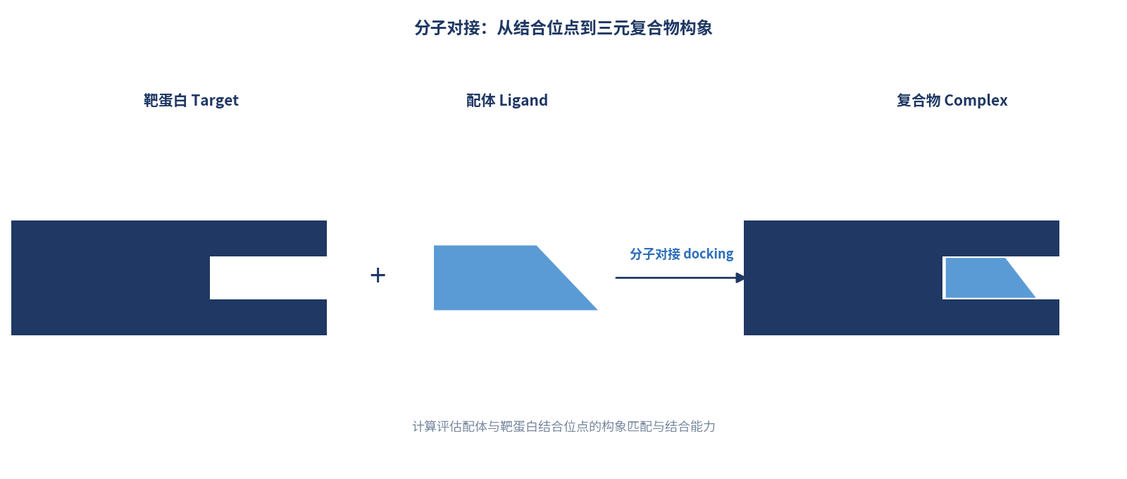 分子对接概念示意图