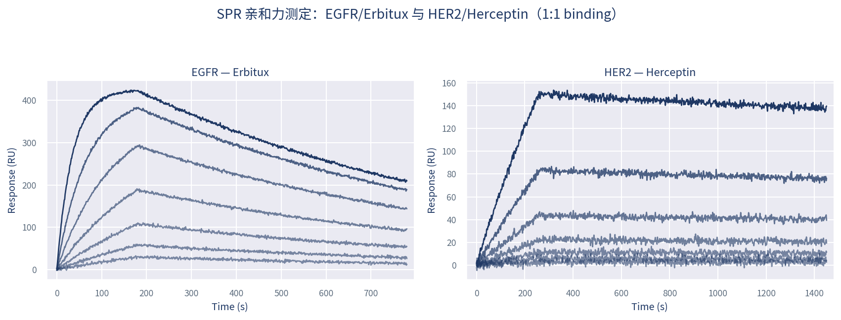 Erbitux 与 EGFR、Herceptin 与 HER2 的 SPR 结合传感图