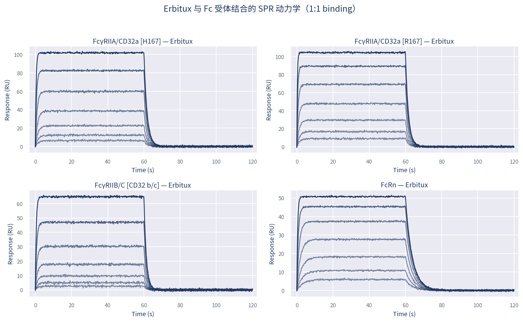 Erbitux 与 Fcγ 受体及 FcRn 的结合传感图