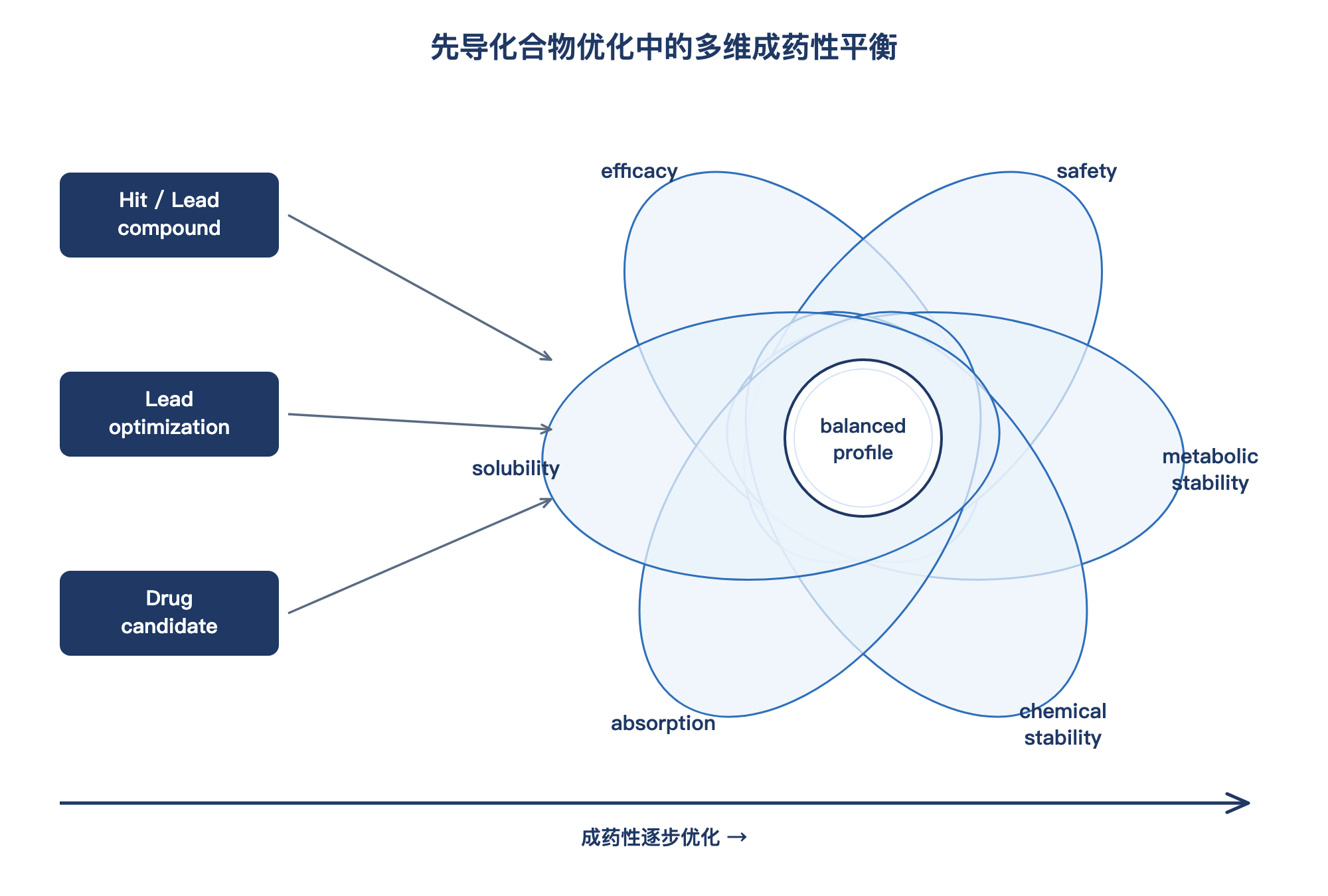 先导化合物优化中的多维成药性平衡示意图：efficacy、safety、metabolic stability、solubility、absorption、chemical stability 六个维度的权衡
