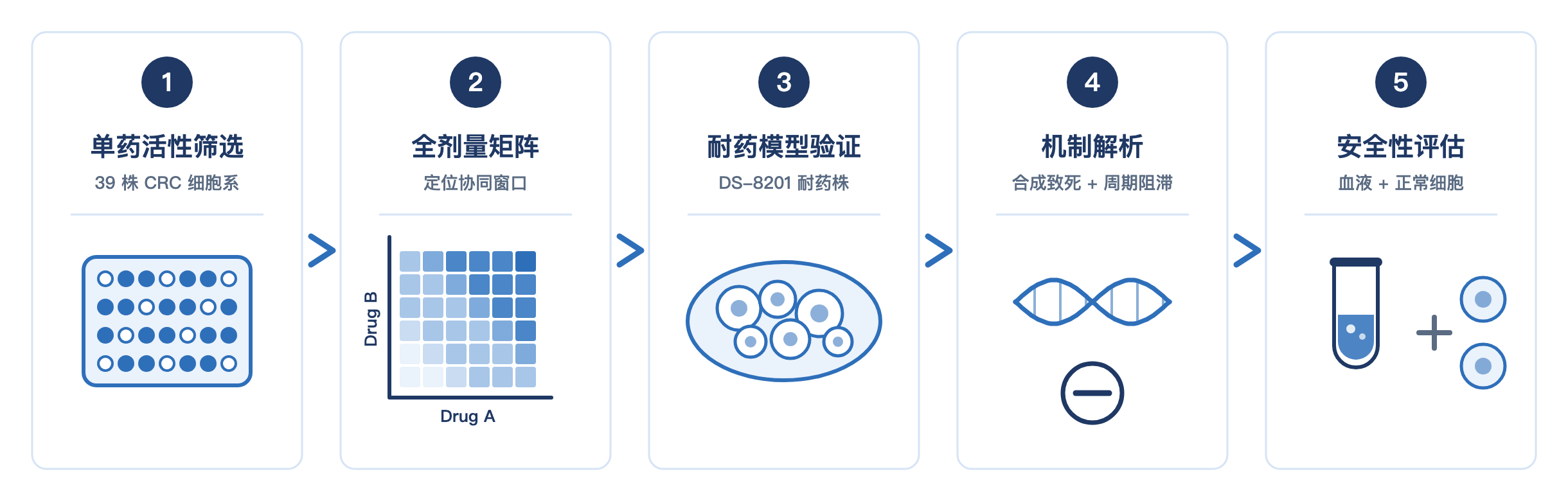 爱思益普双载荷ADC药物协同组合发现及验证五步流程
