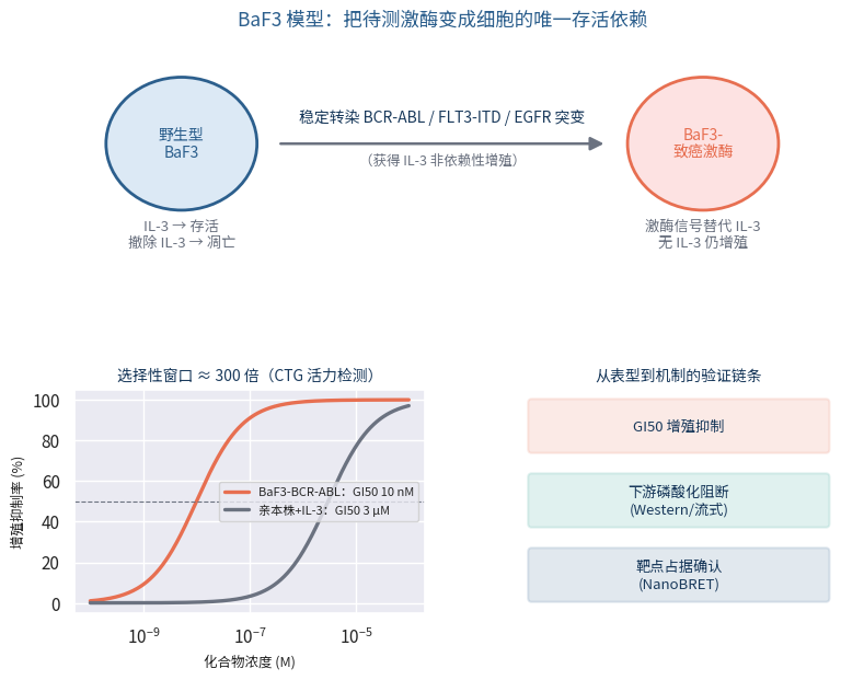 BaF3细胞模型IL-3依赖机制与增殖抑制曲线
