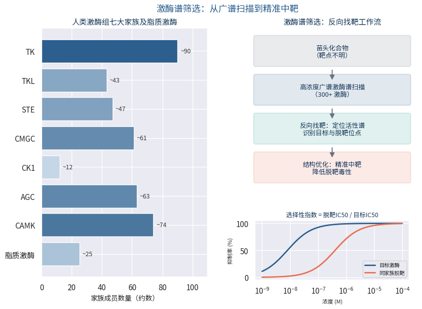 激酶谱筛选流程与选择性指数曲线示意图
