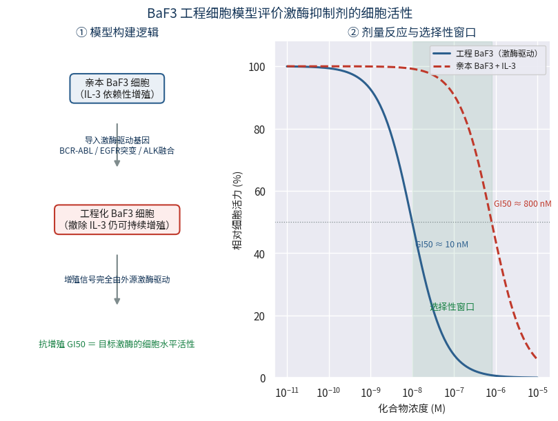 BaF3工程细胞模型构建逻辑与GI50选择性窗口曲线