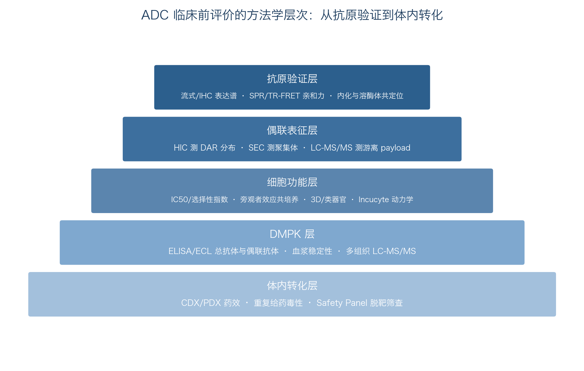 ADC临床前评价的方法学层次：从抗原验证到体内转化