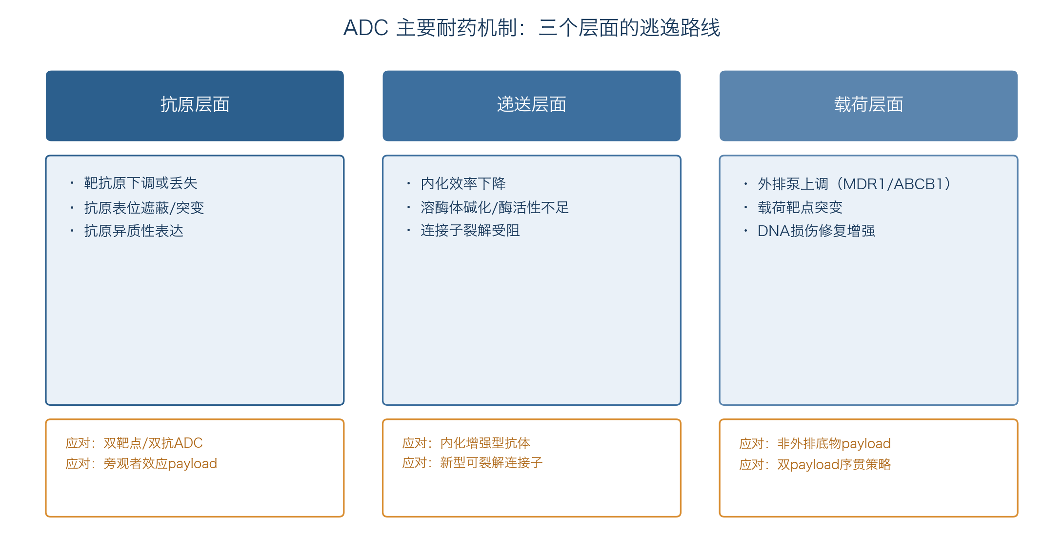 ADC主要耐药机制：抗原、递送、载荷三个层面的逃逸路线