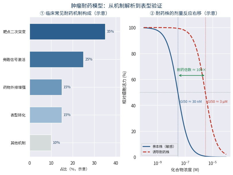 临床常见耐药机制构成与耐药株剂量反应右移示意图