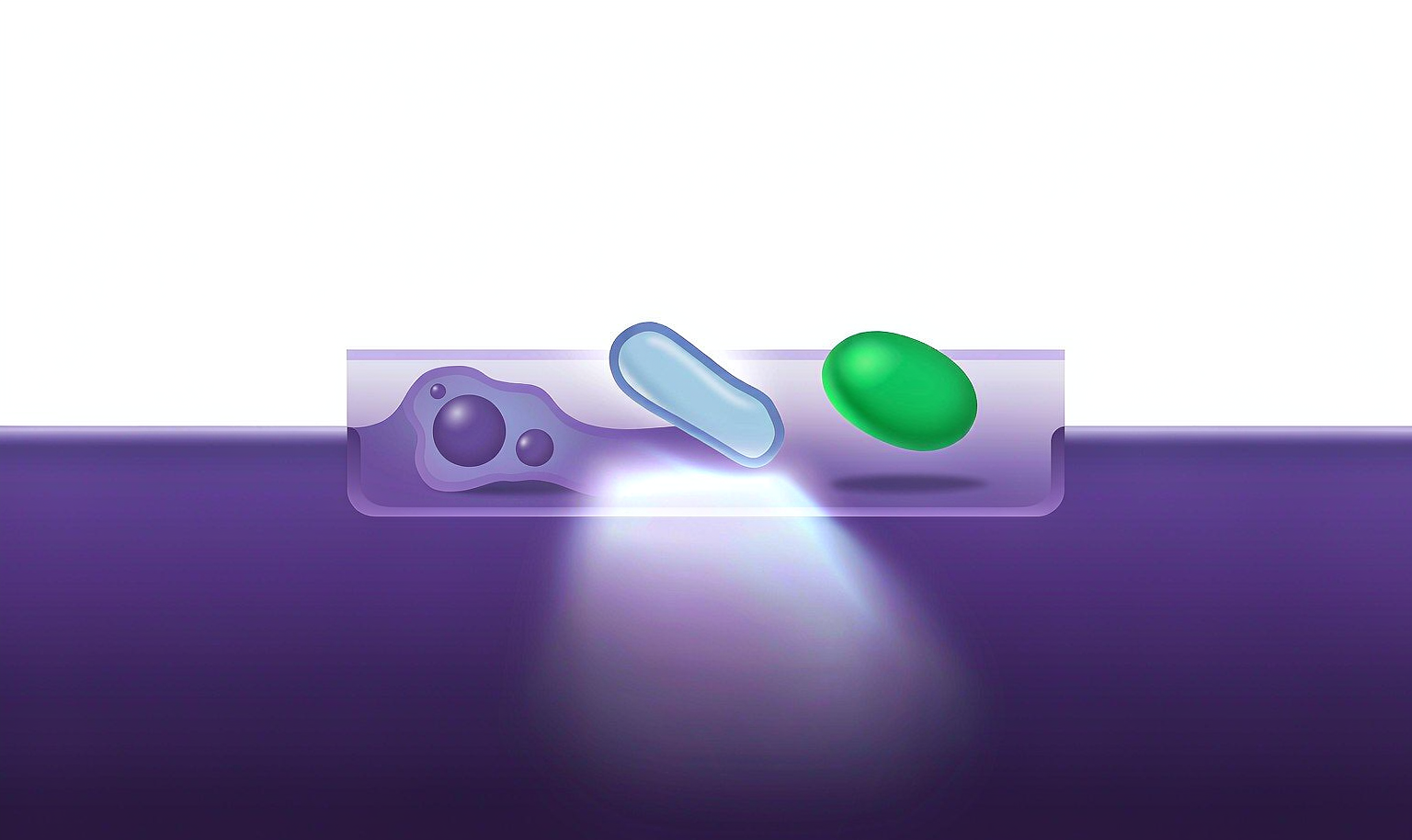 NanoBRET蛋白互作概念示意图：NanoLuc-HaloTag能量转移信号