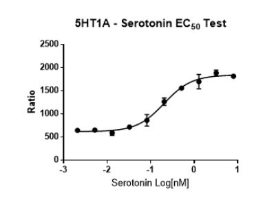 爱思益普药物研发