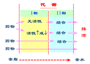 1655347848611528.png 图片.png
