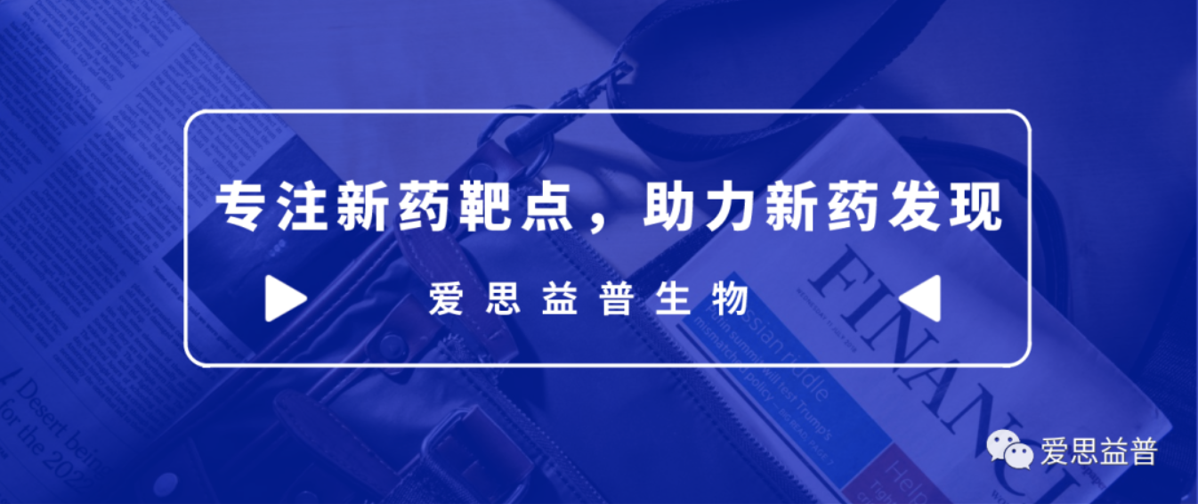 1622596627913583.png 爱思益普药物研发