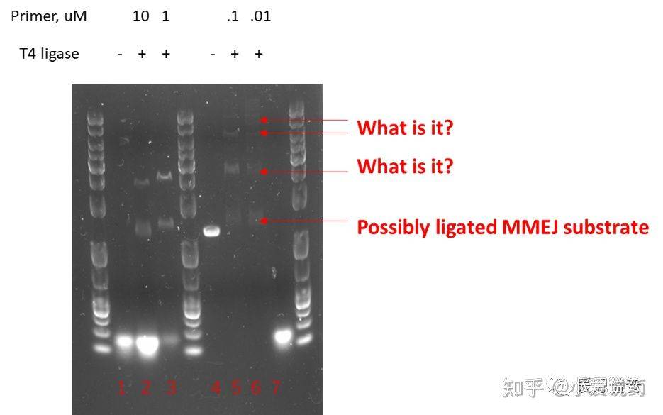爱思益普药物研发